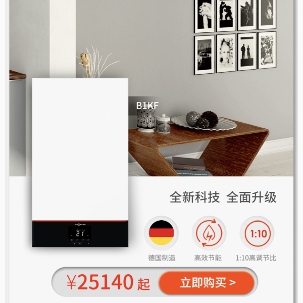 Tmall Store Viessmann - 1